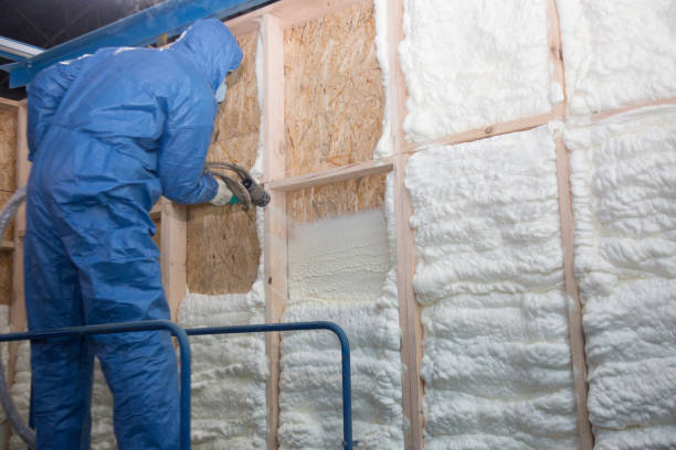 Best Crawl Space Insulation in West End Cobb Town, AL